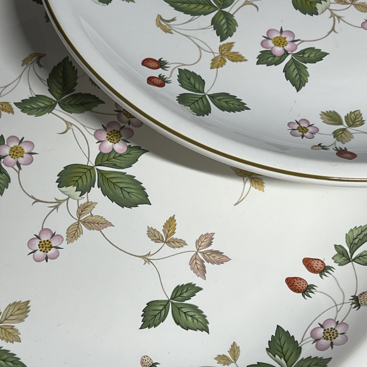 Wedgwood, Wild Strawberry, Dinner Plates